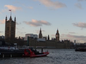 (c) Daniel Zylbersztajn